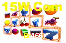 Experiência VIP Br466