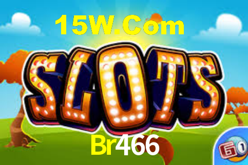 Segurança e privacidade no APP Br466