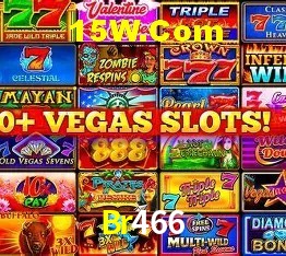 Experiência VIP Br466